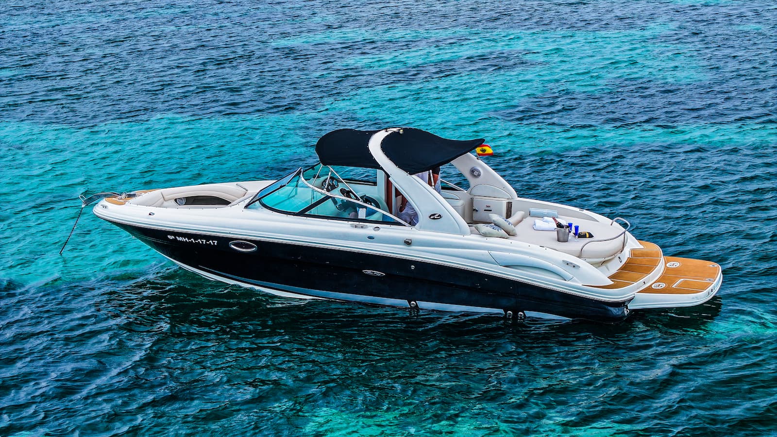 SeaRay 290SL
